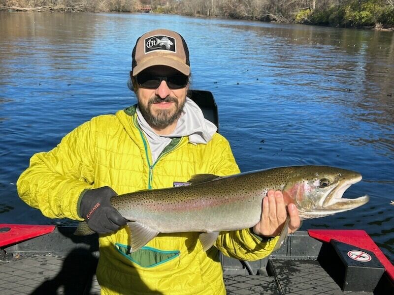 Steelhead St Joe South Bend Skamania Steelhead From The St