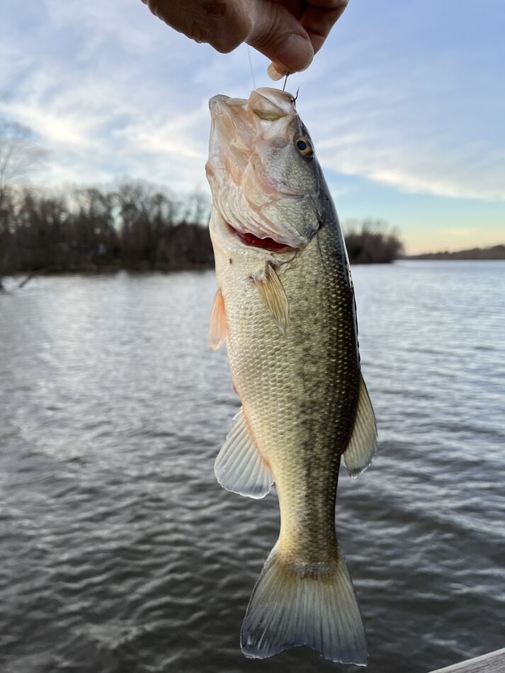 Nightcrawlers Went Fishing In 60 Degree Carnegie Lake This Evening