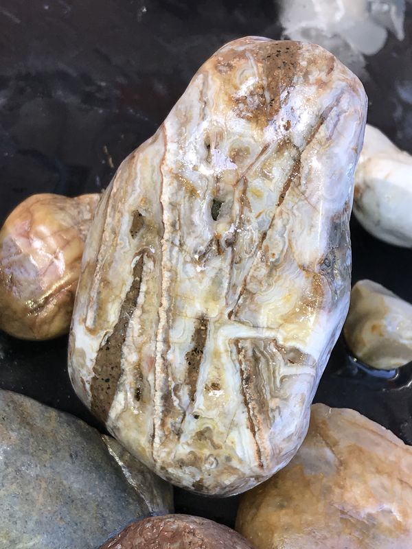Crazy Lace Agate, 4.5 lbs...