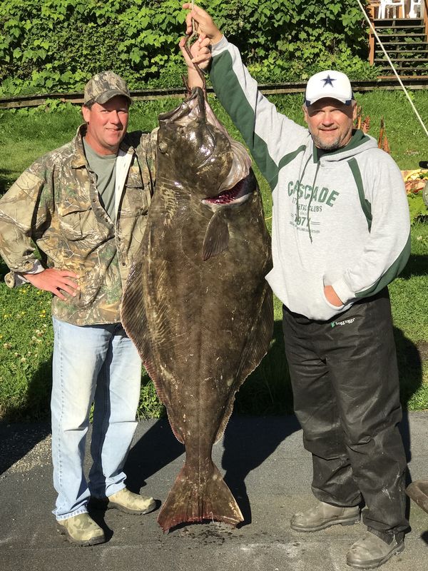 Using Gulp! For Halibut in AK Heading to Petersburg AK in 3 weeks and