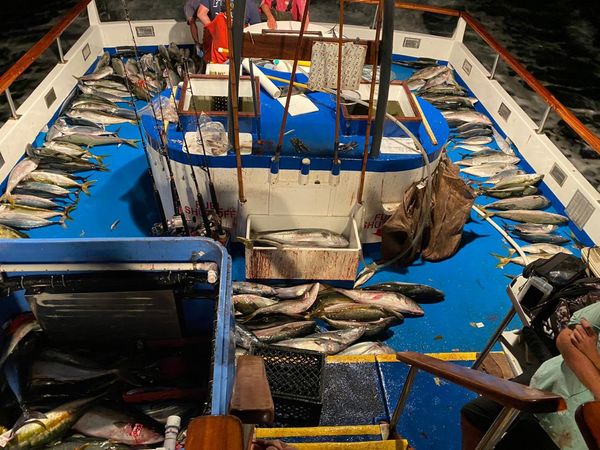 Deck littered with fish, getting ready for count, ...