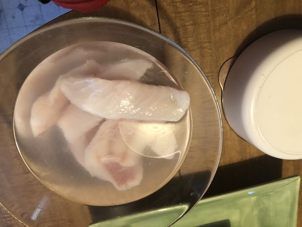 In salt water brine before searing Lingcod and bef...