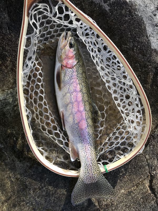 L👀ing for a fishing buddy near Addy Wa: New guy, retired Air Force ...