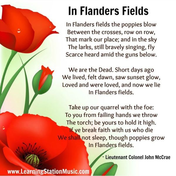 flanders-fields