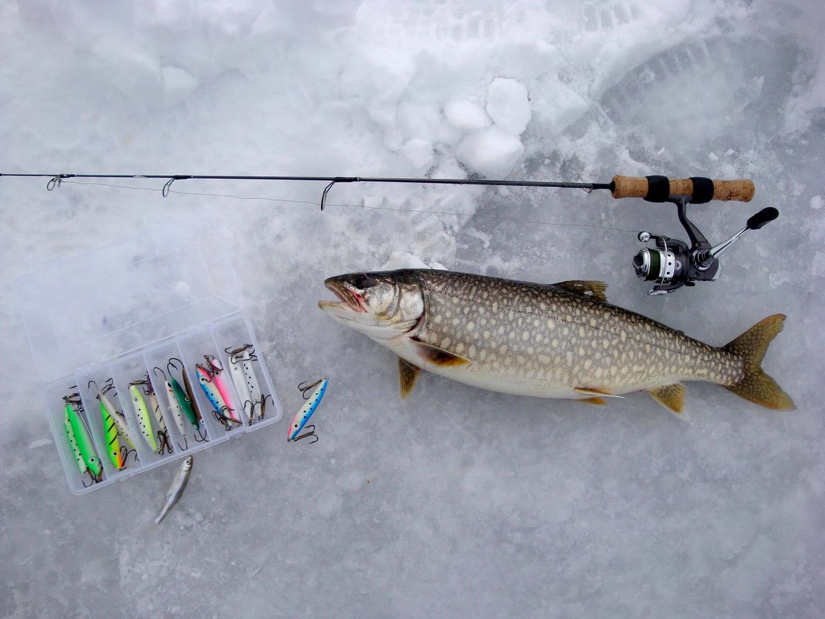 Lake trout always like jigs. This one came from a ...