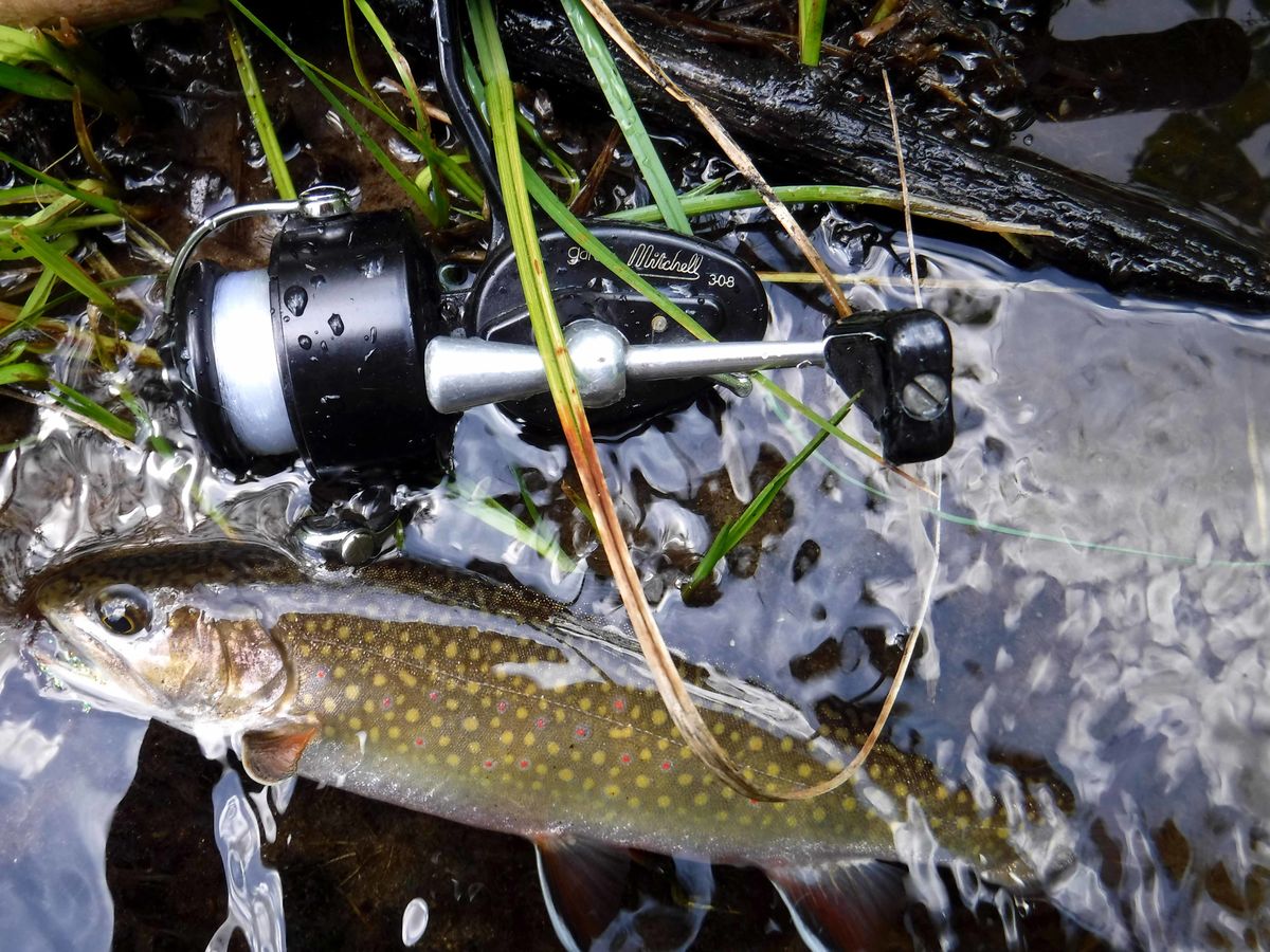Small stream trout on ultra-lite tackle and tiny "...