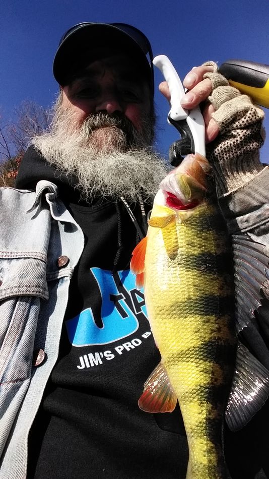 A decent sized Yellow Perch from the fall....