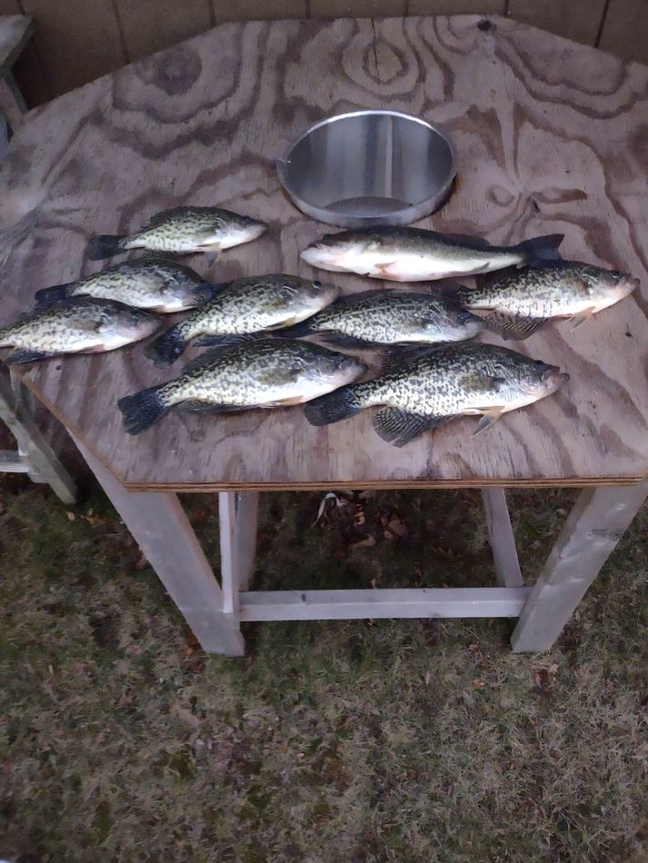 Crappie Best live bait for winter crappie fishing? It’s going to be 70