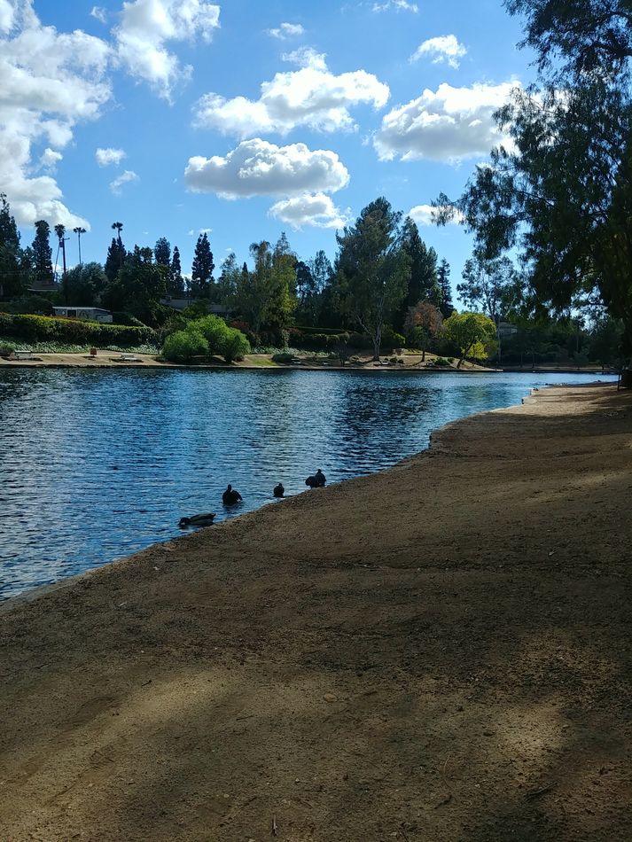 Laguna Lake fan I'm an occasional visitor of Laguna Lake in Fullerton