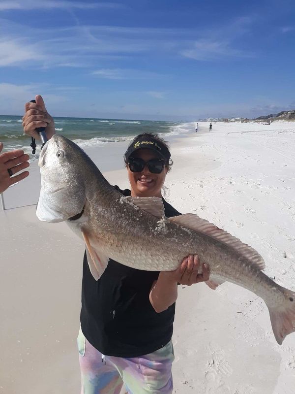 39inch Red Grayton Beach FL: When I tell You this was fun to catch,,, I ...