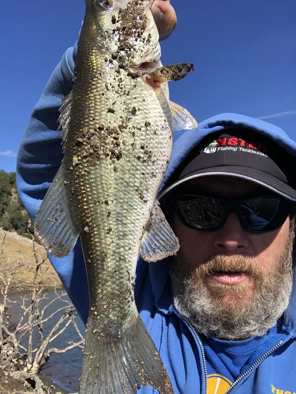 Sonoma lake: Fished across the lake from the marina, missed to many ...