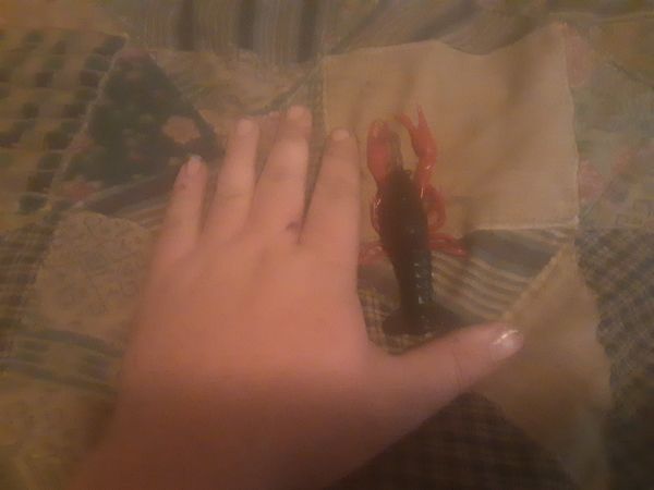 I Put my hand for a size comparison...
