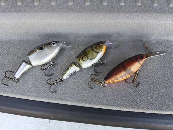 Rapala jointed shallow diver (step lip bill) with ...