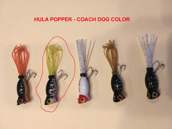 Fred Arbogast Hula Popper - comes in at least 2 si...