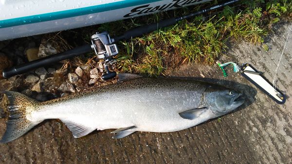 king salmon taken via 80' deep kayak troll using l...