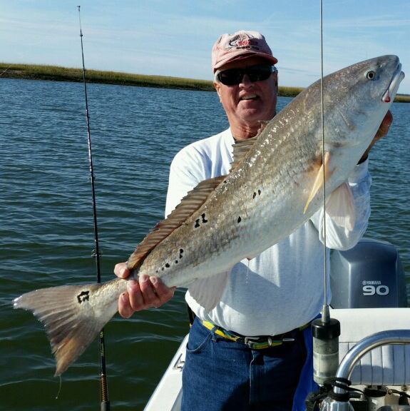 37" Spot tail. (red drum)...