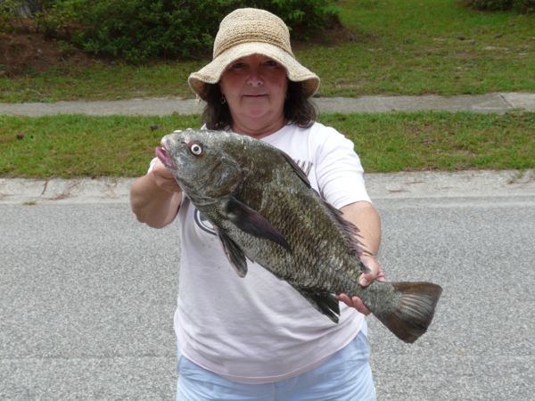 wife with a Black Drum...