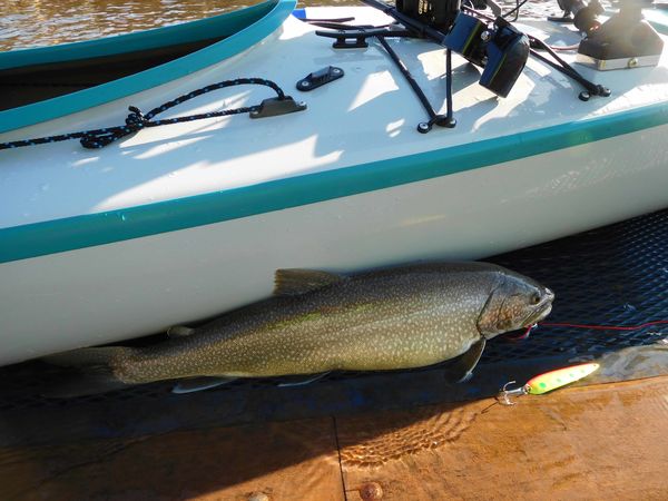 lake trout on a "spoon" - very typical and classic...