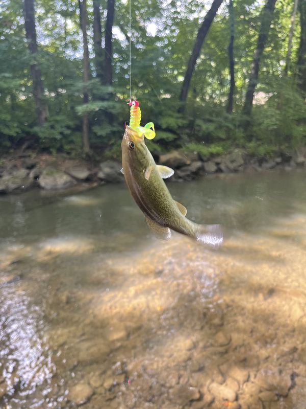Paint Creek West Virginia Simply place to cast today. Been to