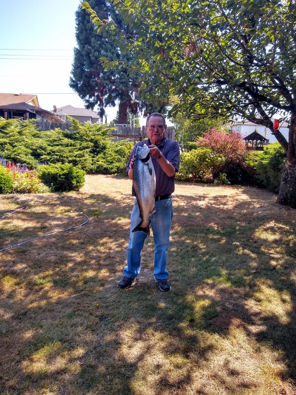 Columbia River salmon fishing The up river bright Chinooks are running