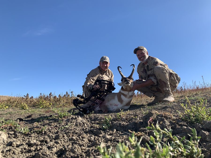 A very nice pronghorn specimen will be going on th...