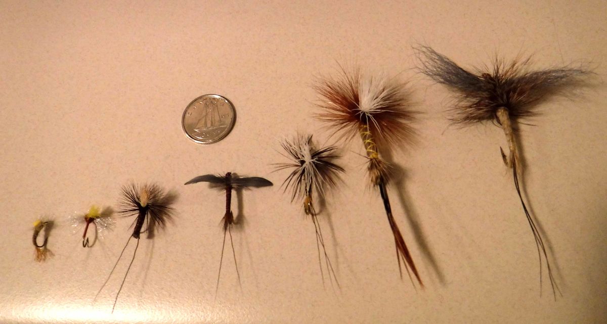 A typical size progression of "dry flies"...for an...