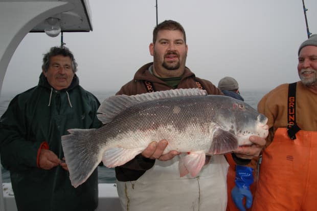 Stelly Gatanas with a 14.5-pound tog that won the ...
