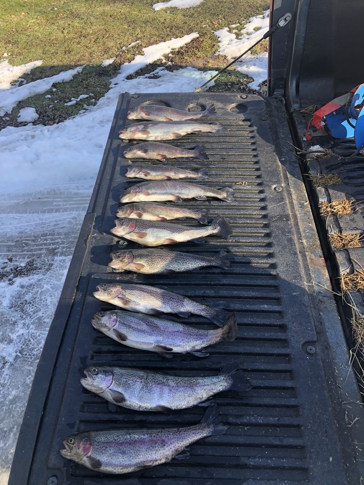 Another good day on the ice Took a buddy with me today we both got our