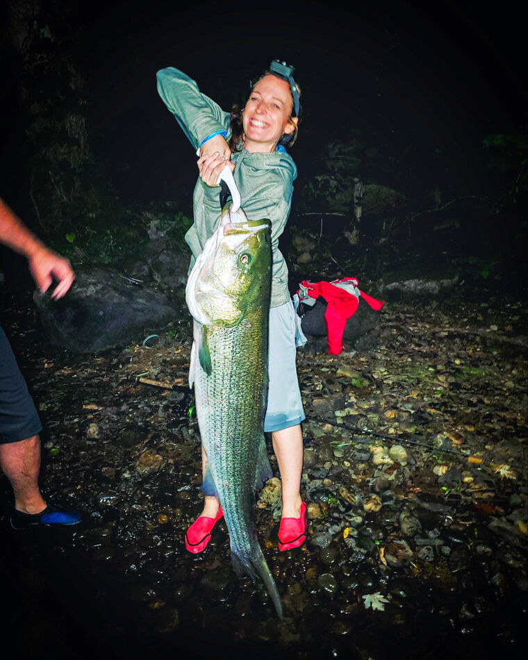 Stripers of Late Near CT Shoreline Anybody catching stripers within a