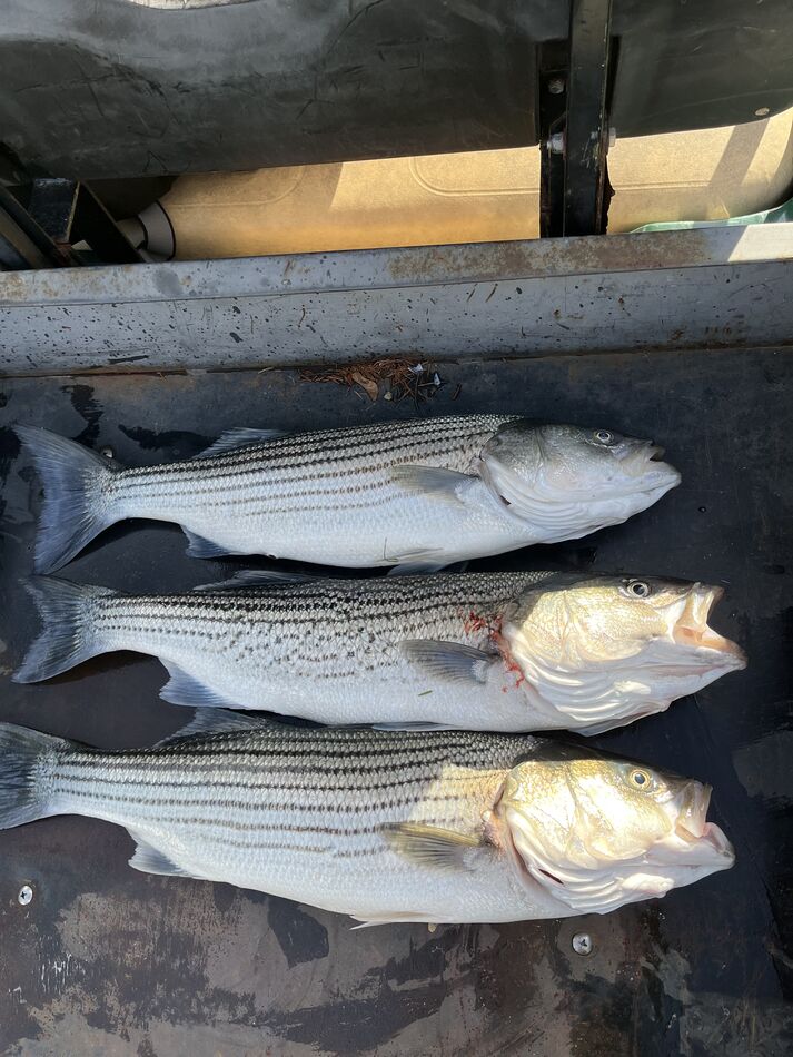 Brooklin Maine Fishing Made it up to see the grandkids in Maine and