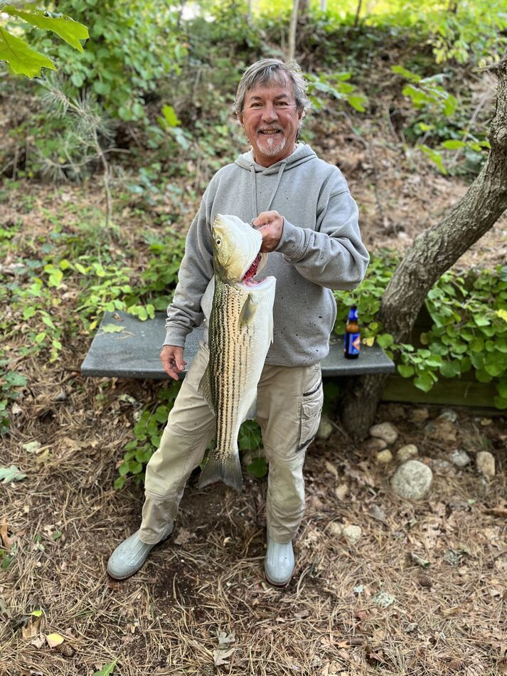 Stripers still here Launched in town Cove and went out through Nauset