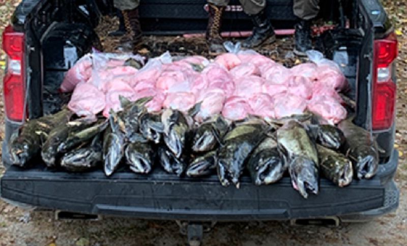 The image shows some of the confiscated fish. (Mic...