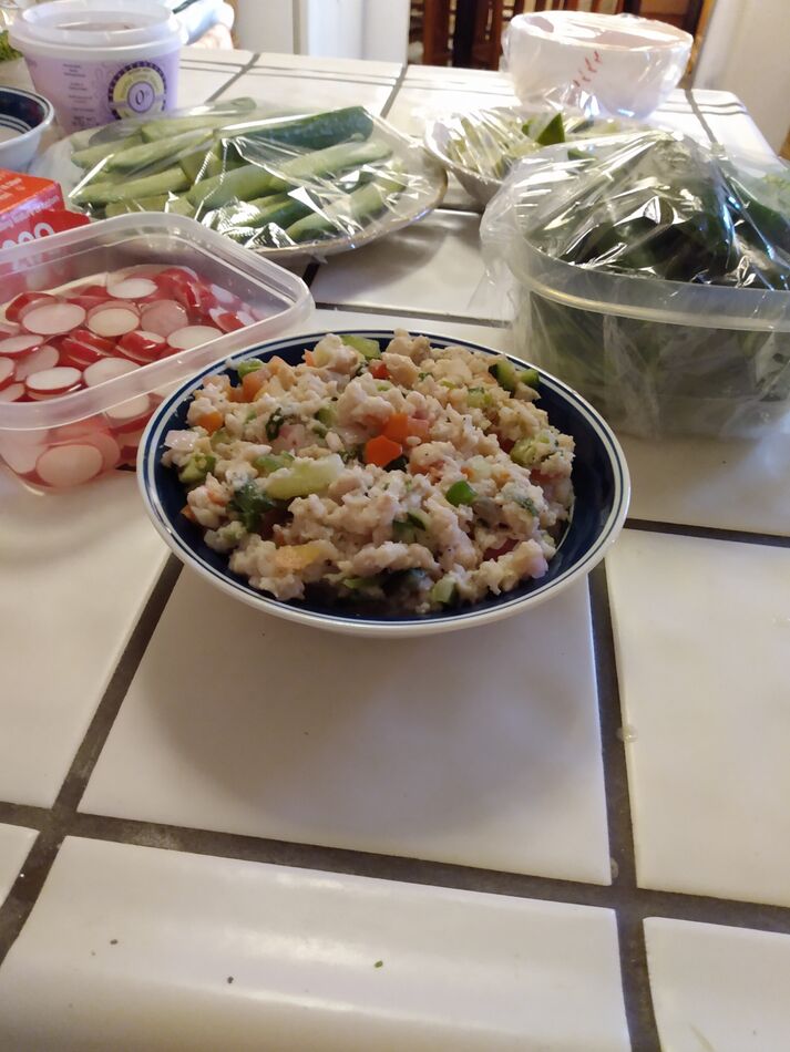 Great morning chasing stripers Fantastic striper fishing in lower CT