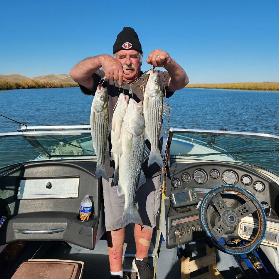 Montezuma slough Wednesday catch weather beautiful no wind...