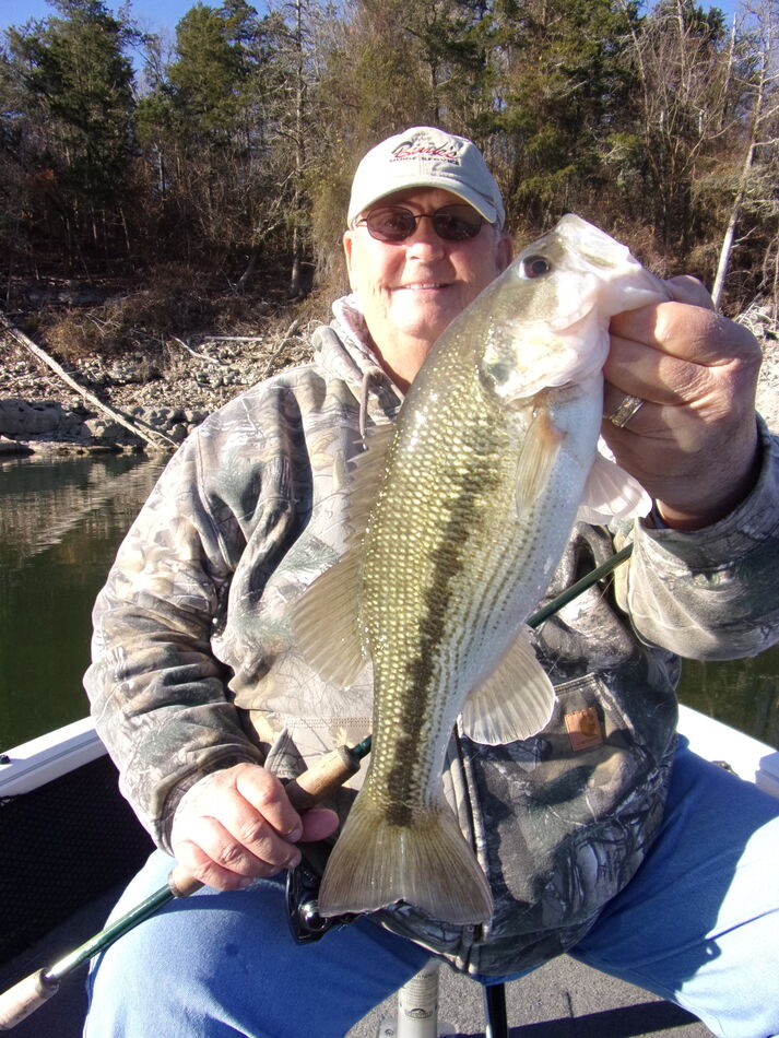 Arkansas Winter Bass Fishing On Norfork Lake at Blackburns Resort and