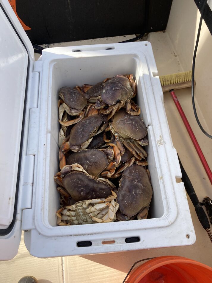 The days take, bigger crab on average this trip....