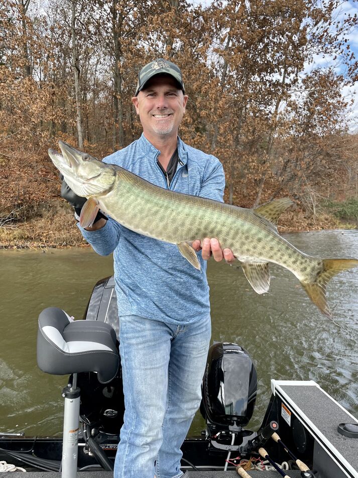 Musky’s on Lake Kincaid (Page 2) 34”. Not huge but it’s a fish. We