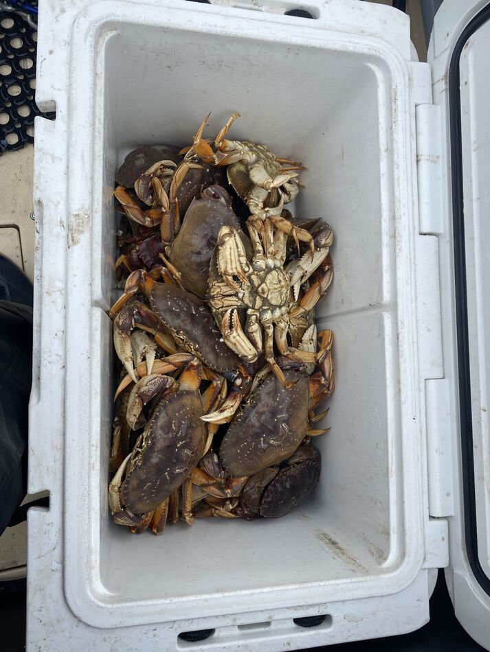 SF Crab season opening day success! Recreational crab season off the