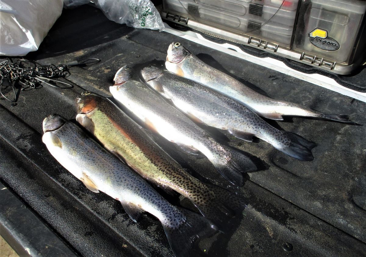 MCCLURE MONDAY MORNING Hit McClure again this morning. Another nice