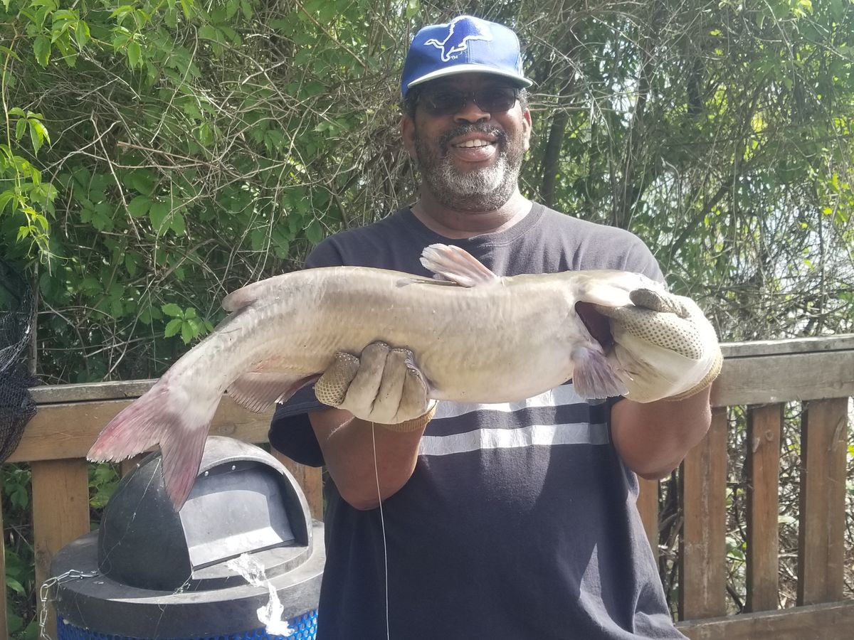 Catfish in Monroe, MI For those who are familiar with this very