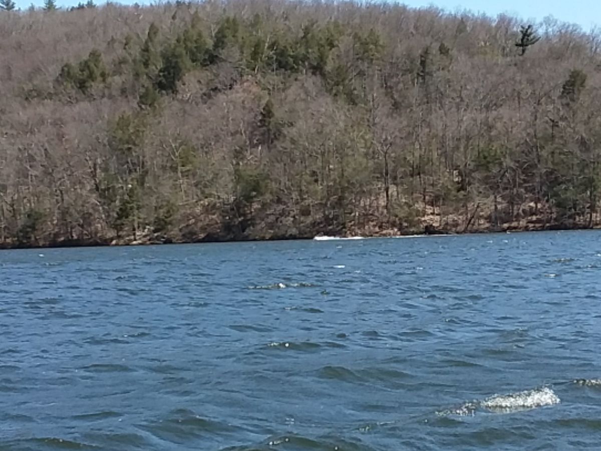 Blown off Lake Zoar Well it was calm for about a half hour anyway. 52