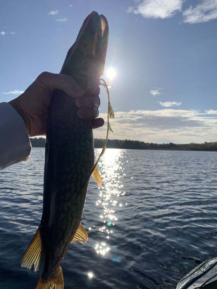 A good day! I got out on my kayak today, I hit the water at 700 am