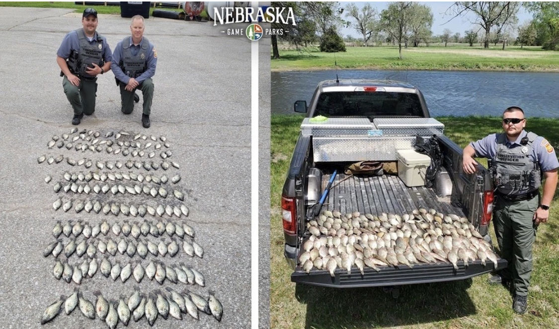 Getting caught For some Nebraska anglers, it seems, a daily bag limit