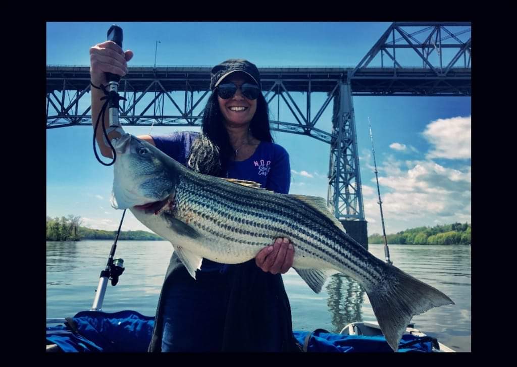 Stripers in the Hudson River Information on where the stripers are