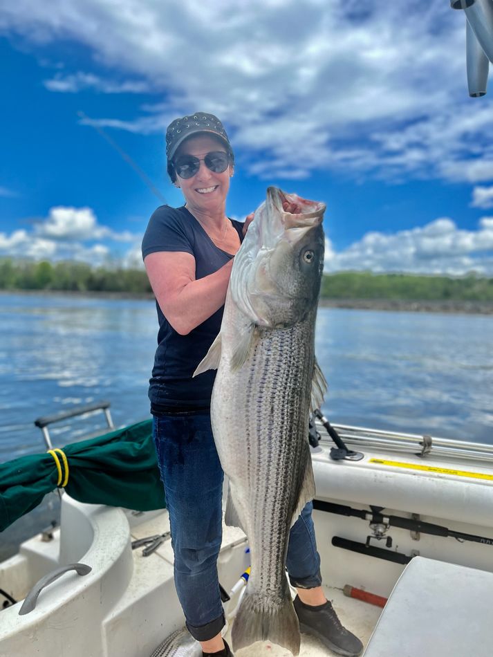Stripers in the Hudson River Information on where the stripers are
