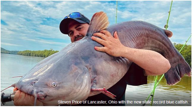 A second record blue catfish from the Kanawha River W. Va: A second ...