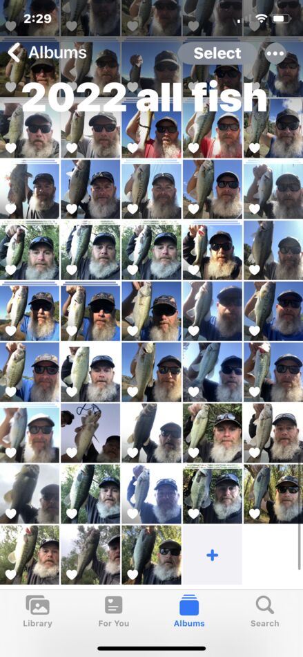 All photos below 2022 all fish have been caught si...