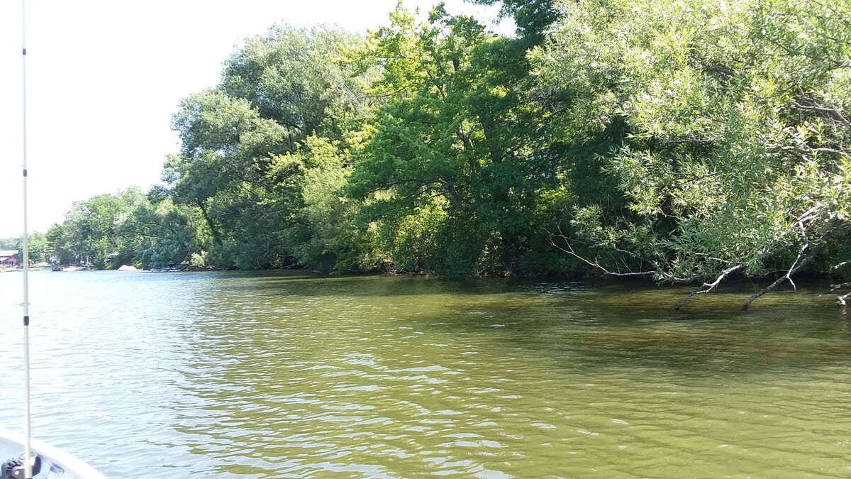 Shady overhanging trees on the main lake. Lots of ...