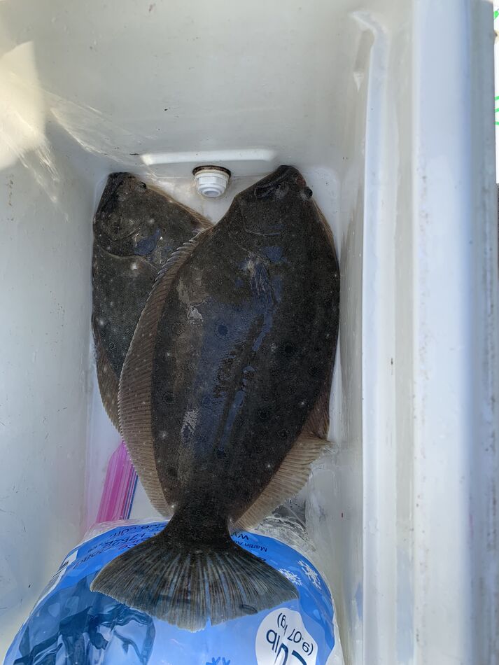 Pics Jimmy fish. Here are some of the flounder I caught this year