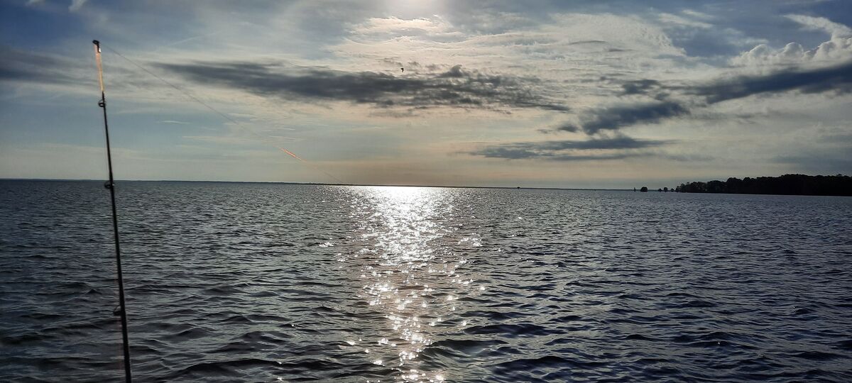 Catfishing Lake Moultrie Went out this morning with a long time